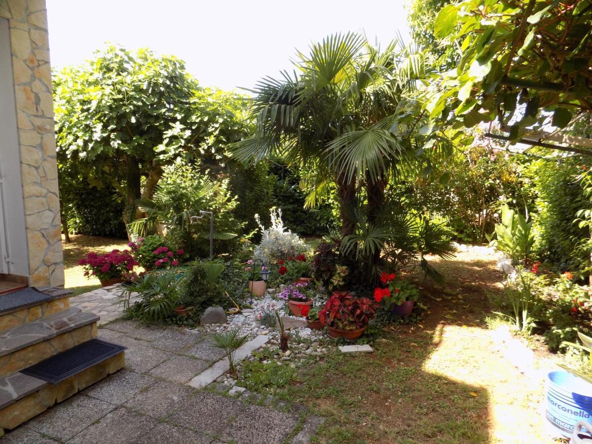 Oriella Apartmans And Room Novigrad Istria Exterior foto